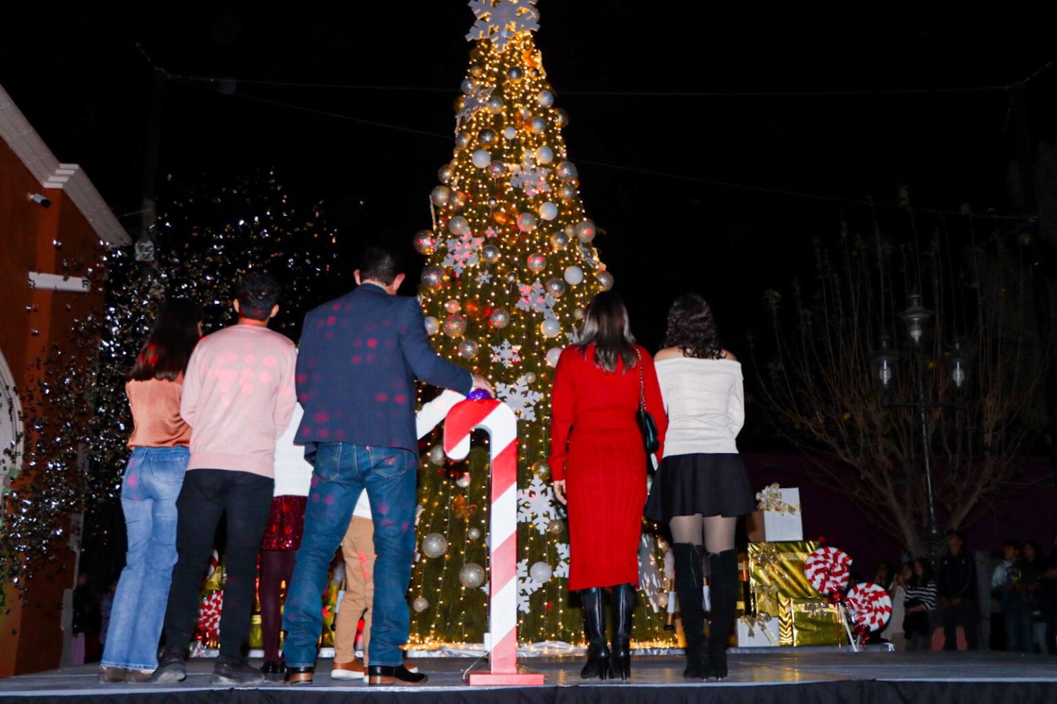 La navidad llegó a Rosales con el encendido del árbol navideño