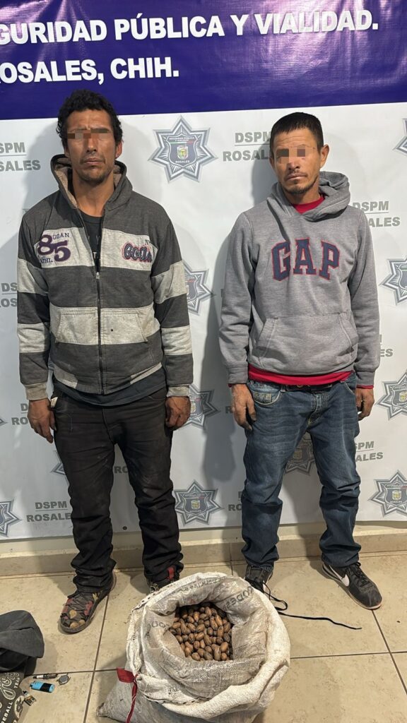 DSPM Rosales remite a dos personas por faltas administrativas y asegura aproximadamente 18 kg de nuez