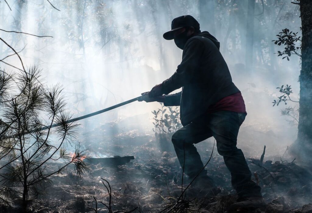 Llama SDR a reforzar medidas de prevención contra incendios forestales