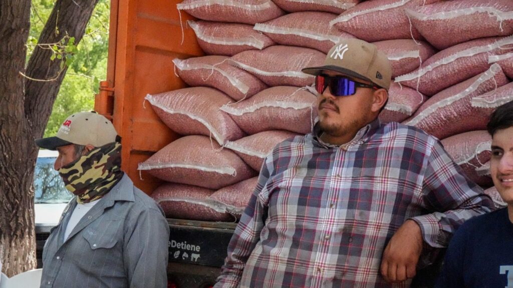 Abre SDR convocatoria para apoyo en semilla de frijol