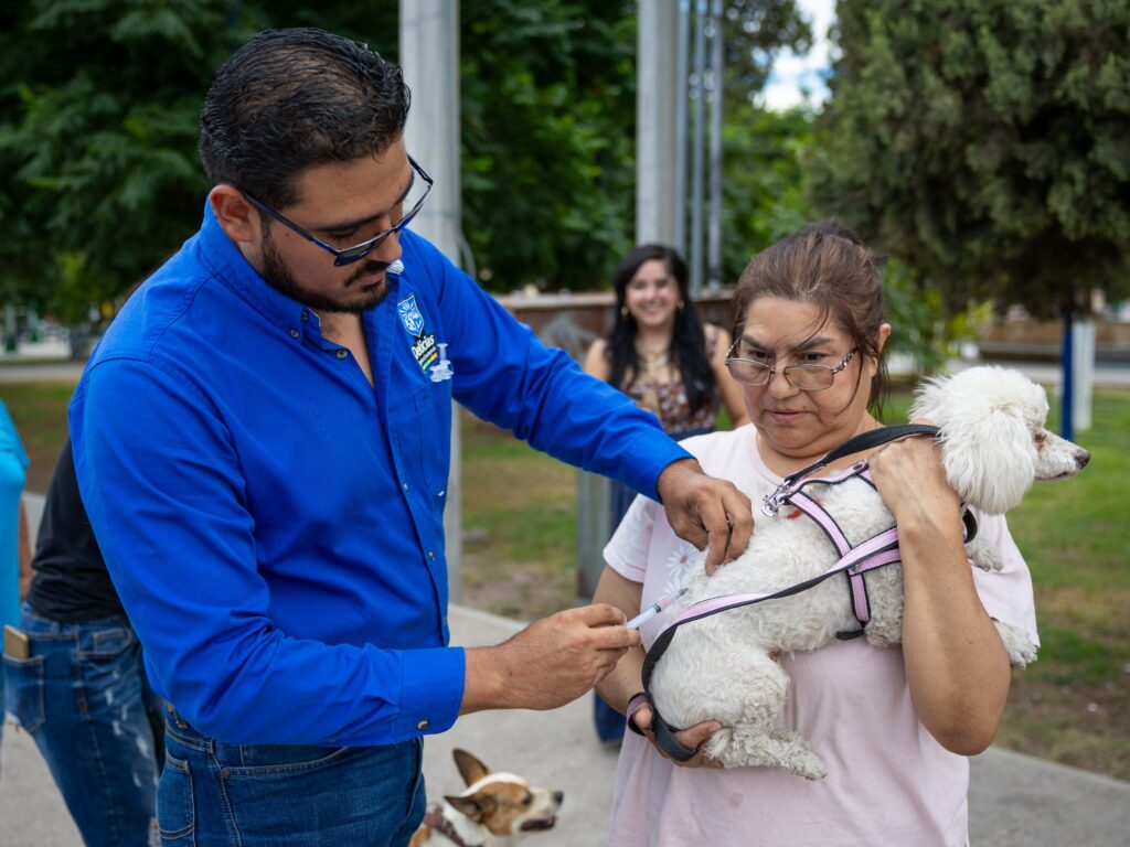 Acude hoy sábado a la campaña gratuita de vacunación antirrábica en Delicias