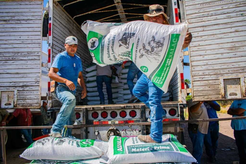 Entregan en Meoqui 100 toneladas de maíz rolado y concentrado lechero a productores