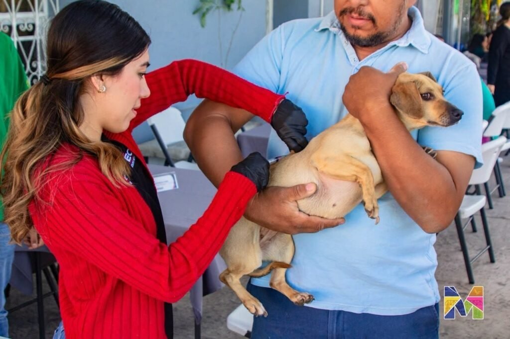 Reconocen en Meoqui labor de médicos veterinarios en su día