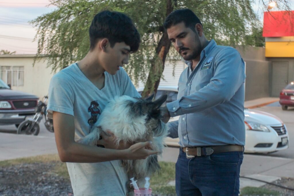 Exitosa jornada de vacunación antirrábica protege a más de 220 mascotas en la colonia Revolución