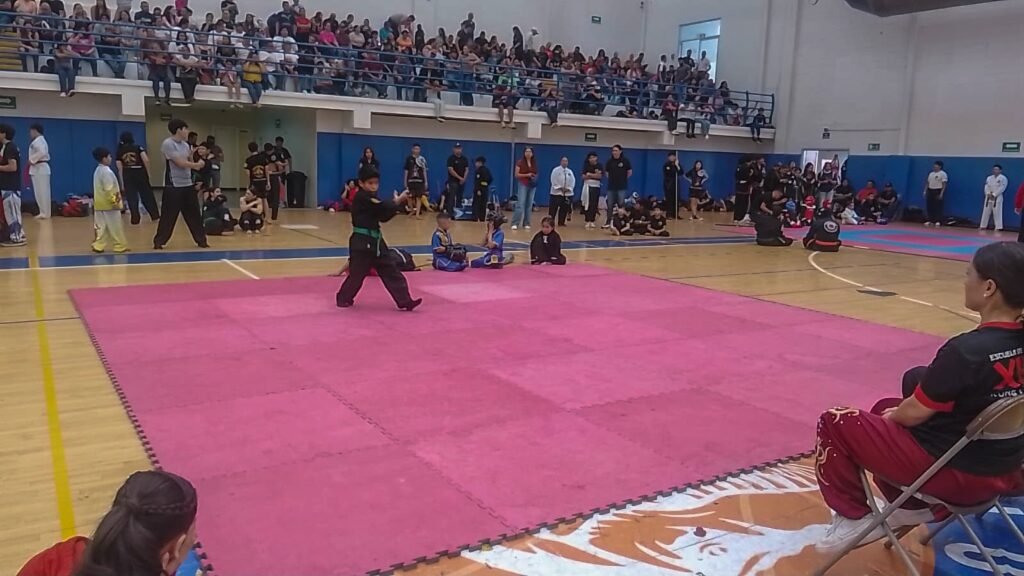 Reúne Campeonato Estatal de Artes Marciales a 148 competidores en Delicias